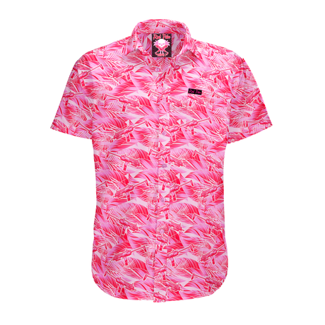 Button Down Shirts