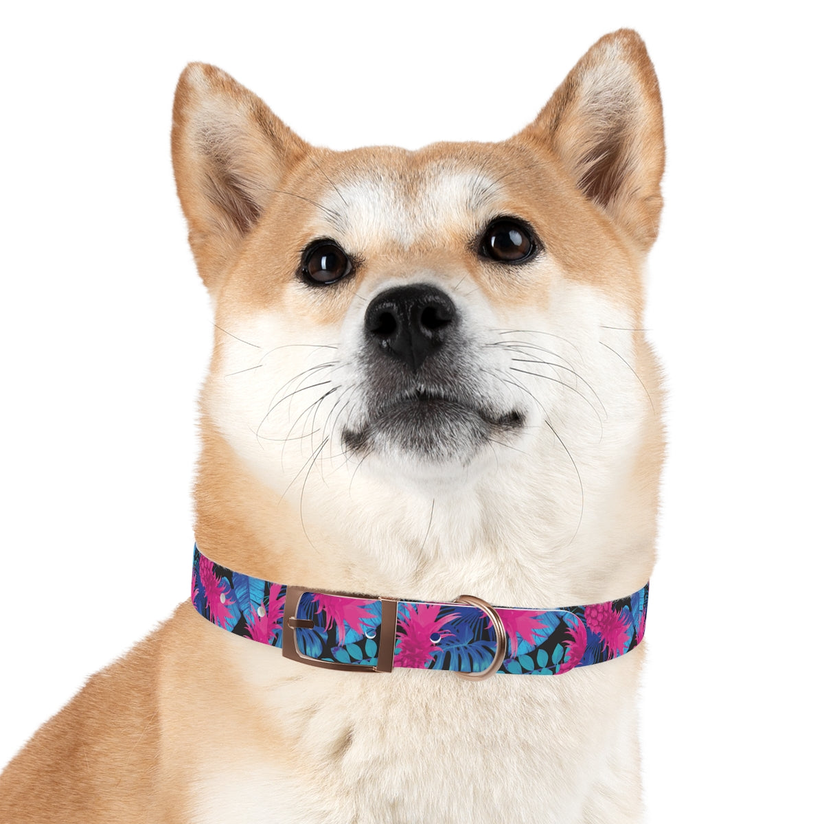 Collar para perros Pineapple Express de Rad Palm