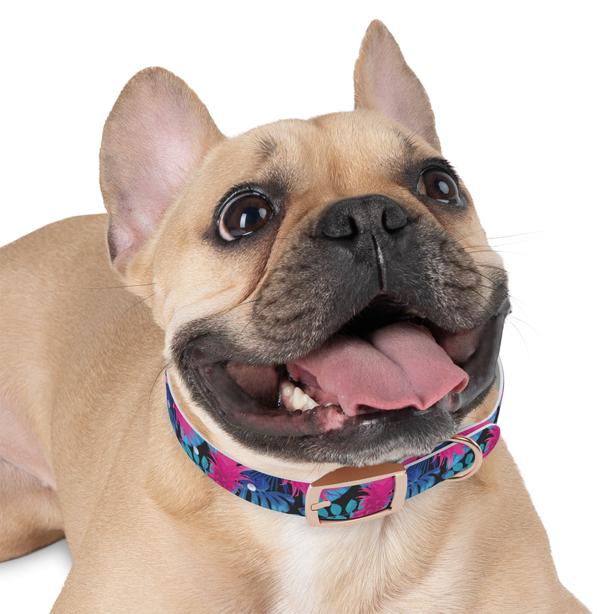 Collar para perros Pineapple Express de Rad Palm