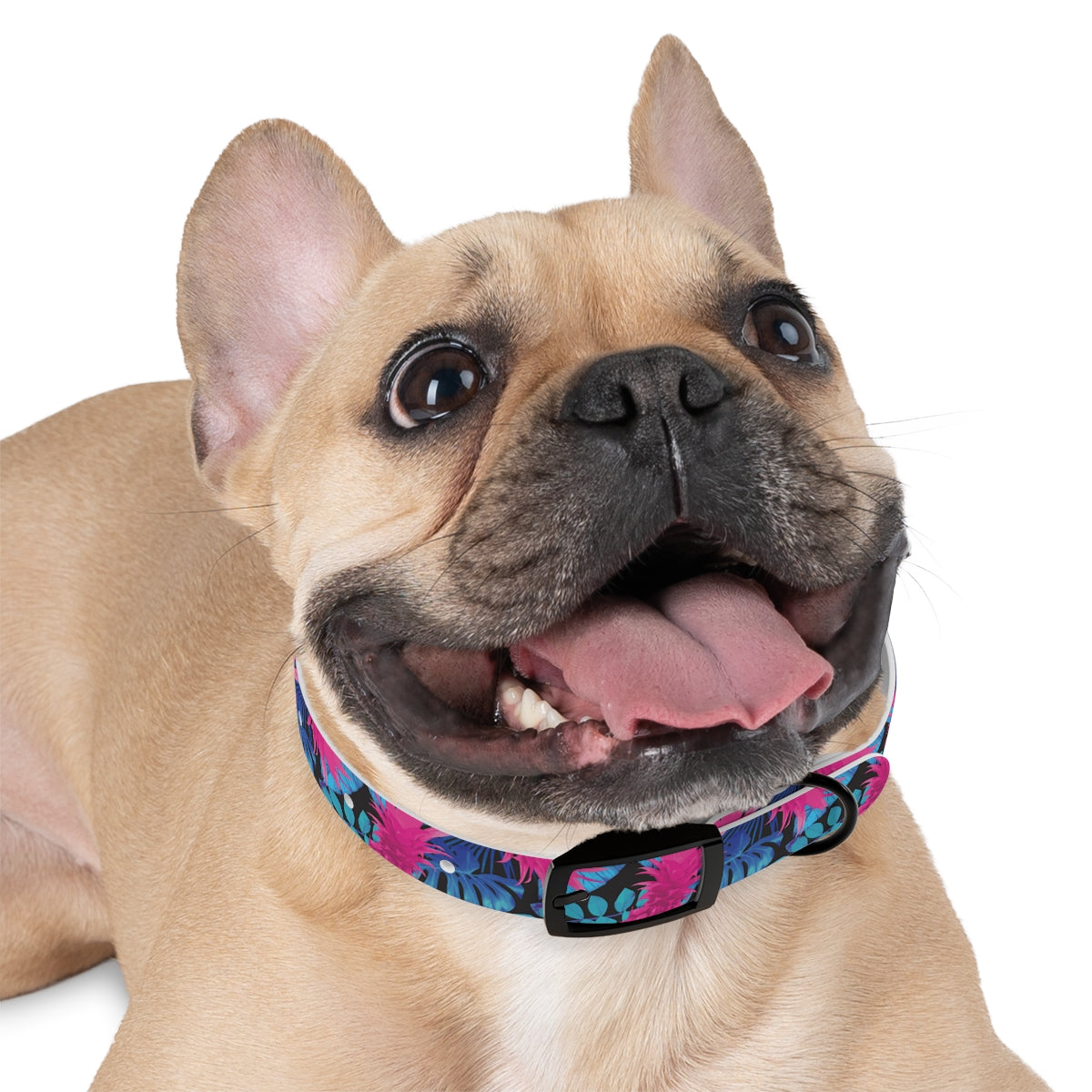 Collar para perros Pineapple Express de Rad Palm