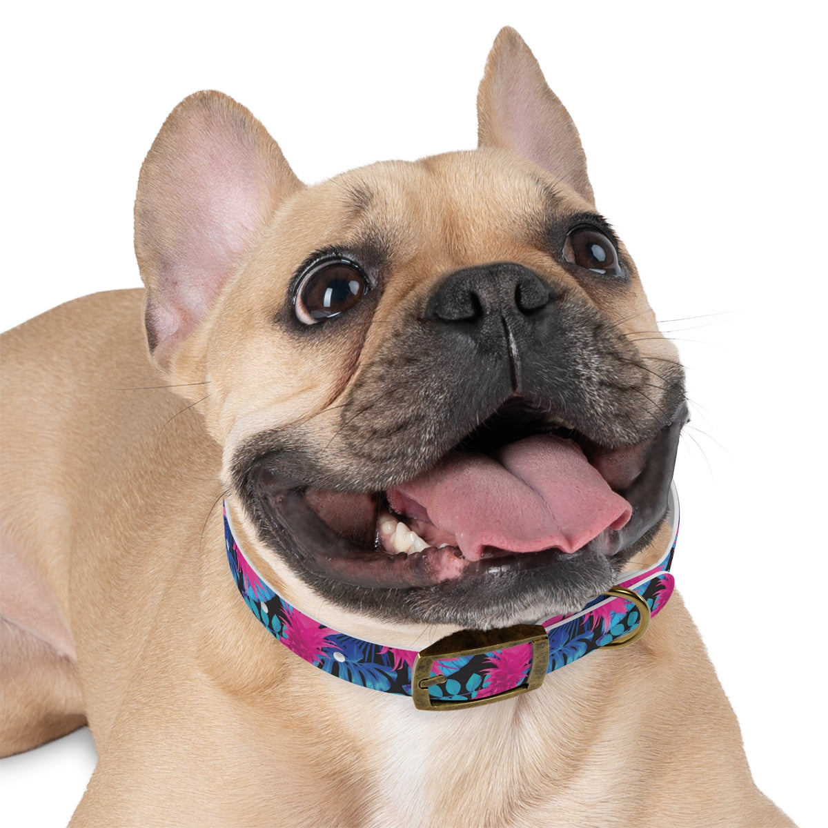 Collar para perros Pineapple Express de Rad Palm