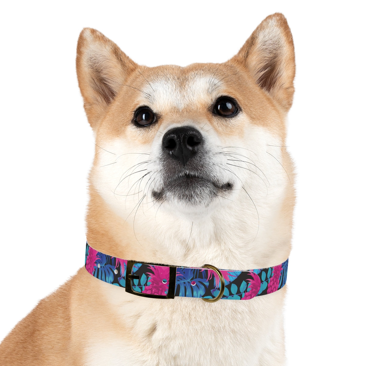 Collar para perros Pineapple Express de Rad Palm