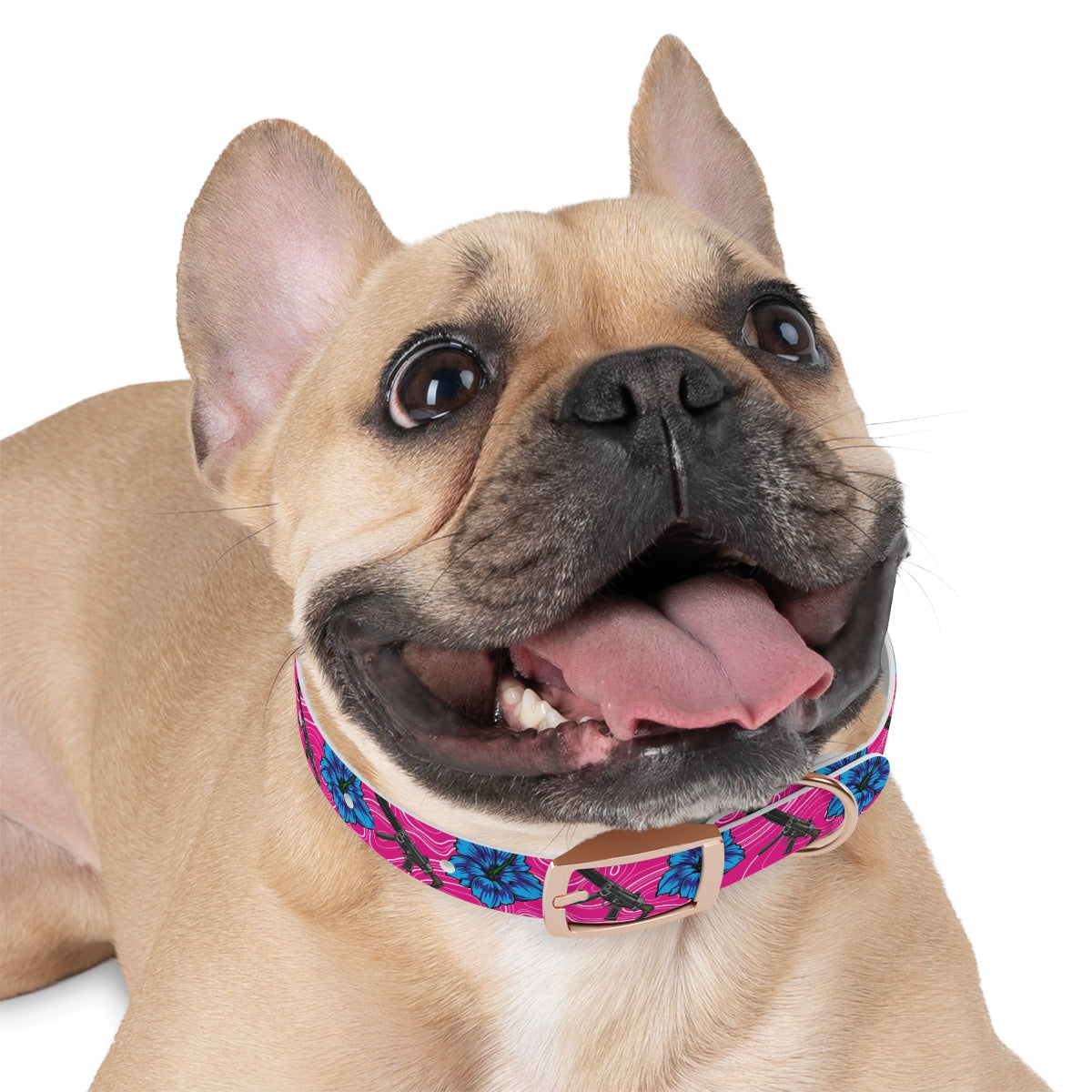 Collar para perros con hibisco de alta capacidad Rad Palm