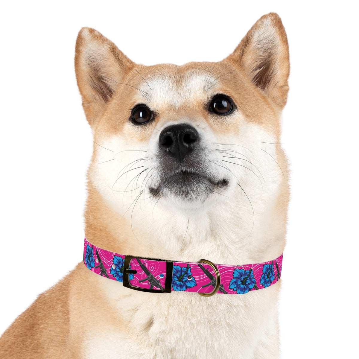 Collar para perros con hibisco de alta capacidad Rad Palm
