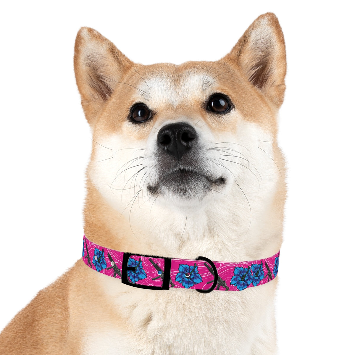 Collar para perros con hibisco de alta capacidad Rad Palm