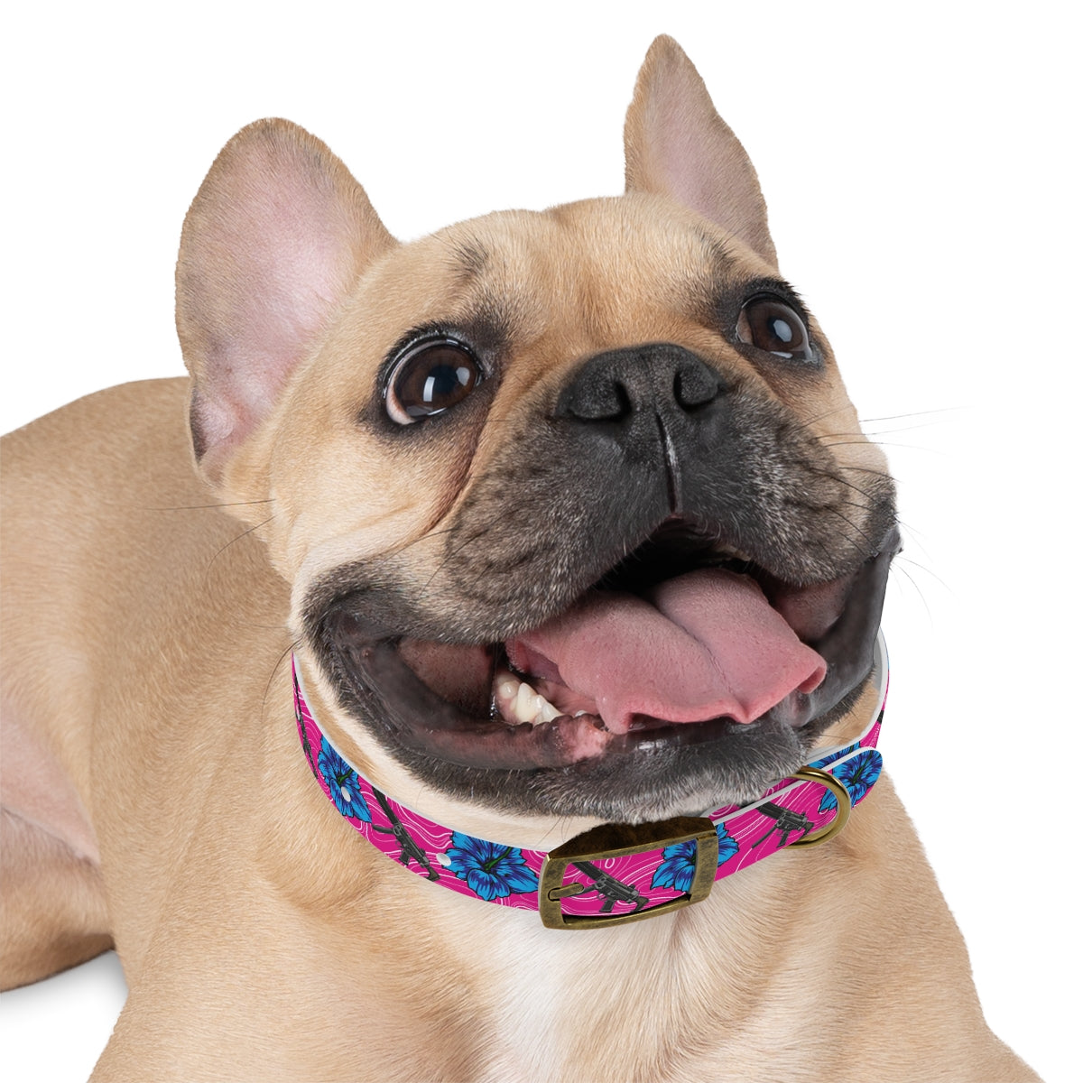 Collar para perros con hibisco de alta capacidad Rad Palm