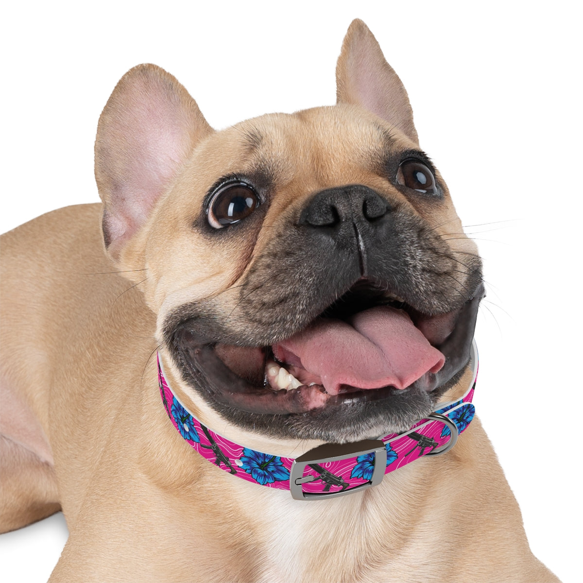 Collar para perros con hibisco de alta capacidad Rad Palm