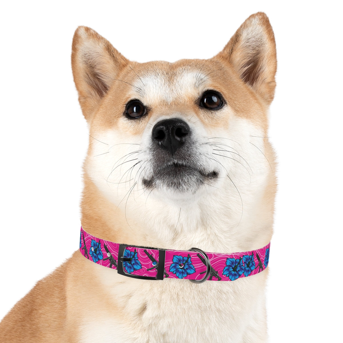 Collar para perros con hibisco de alta capacidad Rad Palm