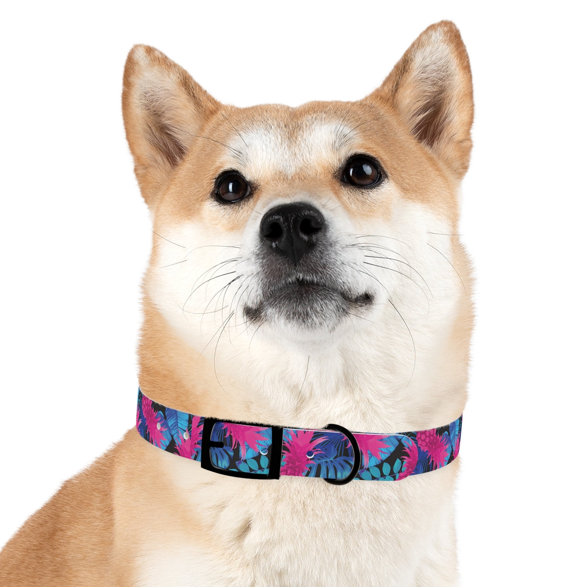 Collar para perros Pineapple Express de Rad Palm