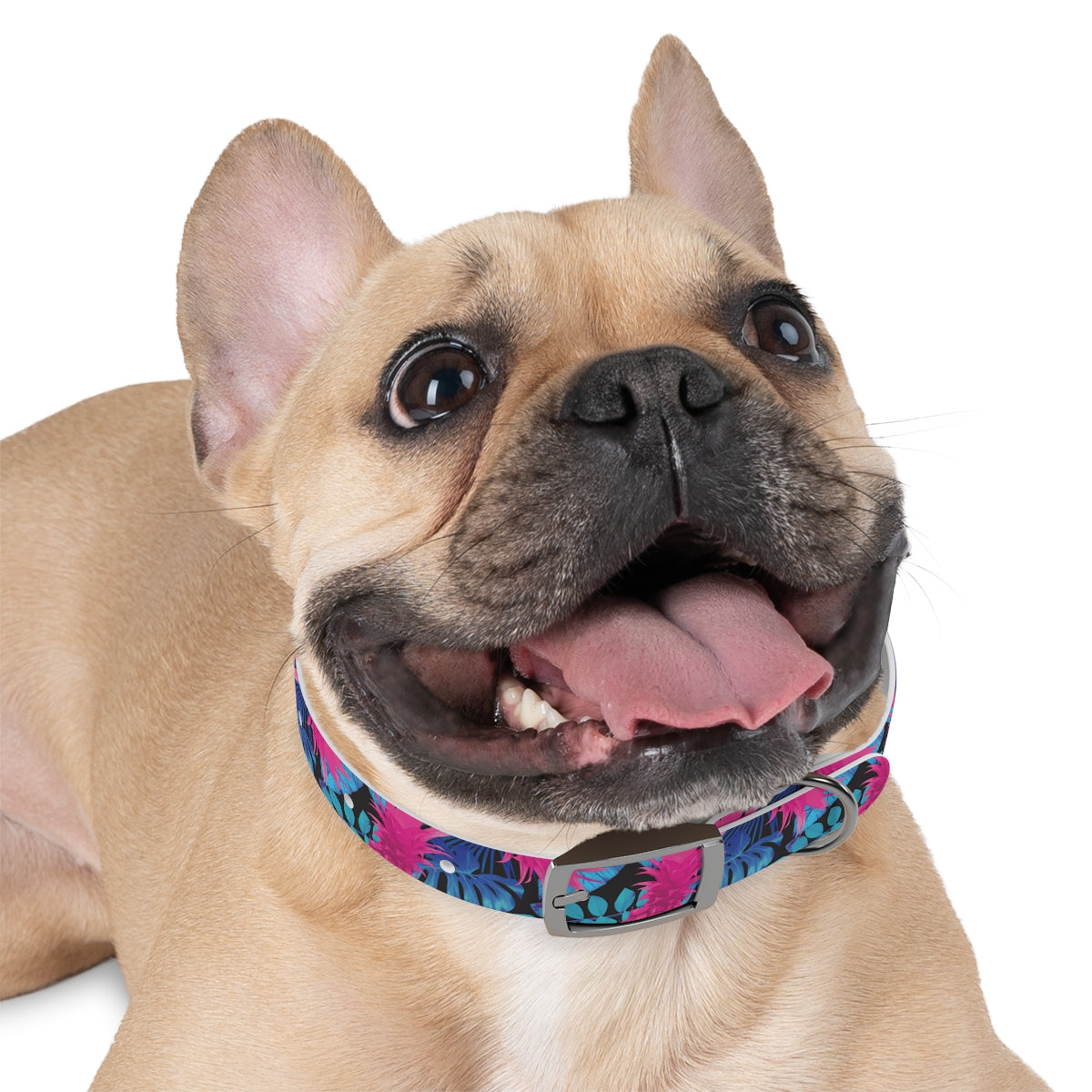 Collar para perros Pineapple Express de Rad Palm