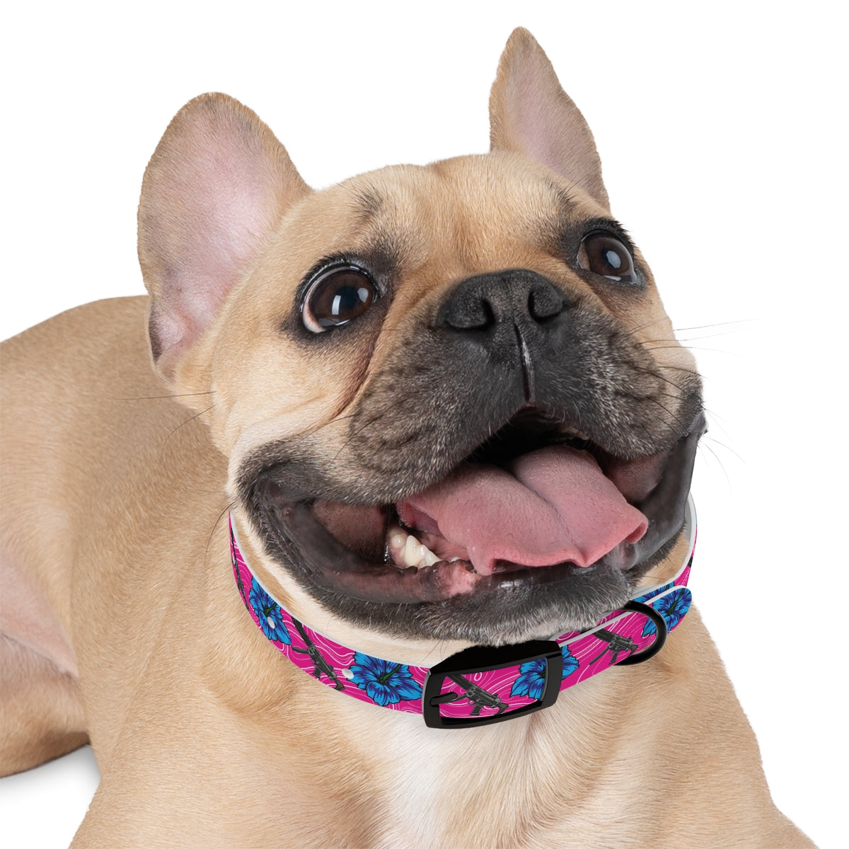 Collar para perros con hibisco de alta capacidad Rad Palm